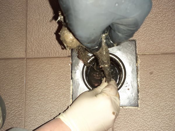 Drain Obstruction Removal